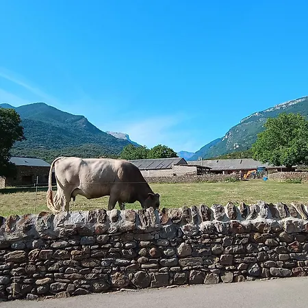 Con Vistas Apartamento *